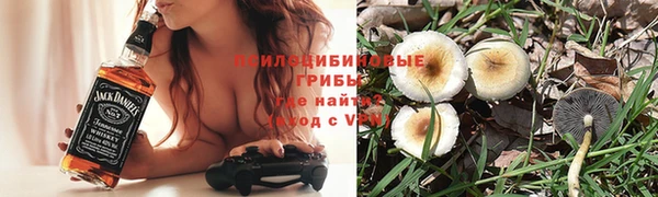 скорость Абаза