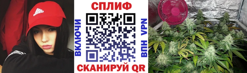 Марихуана ГИДРОПОН  магазин продажи   Питкяранта 